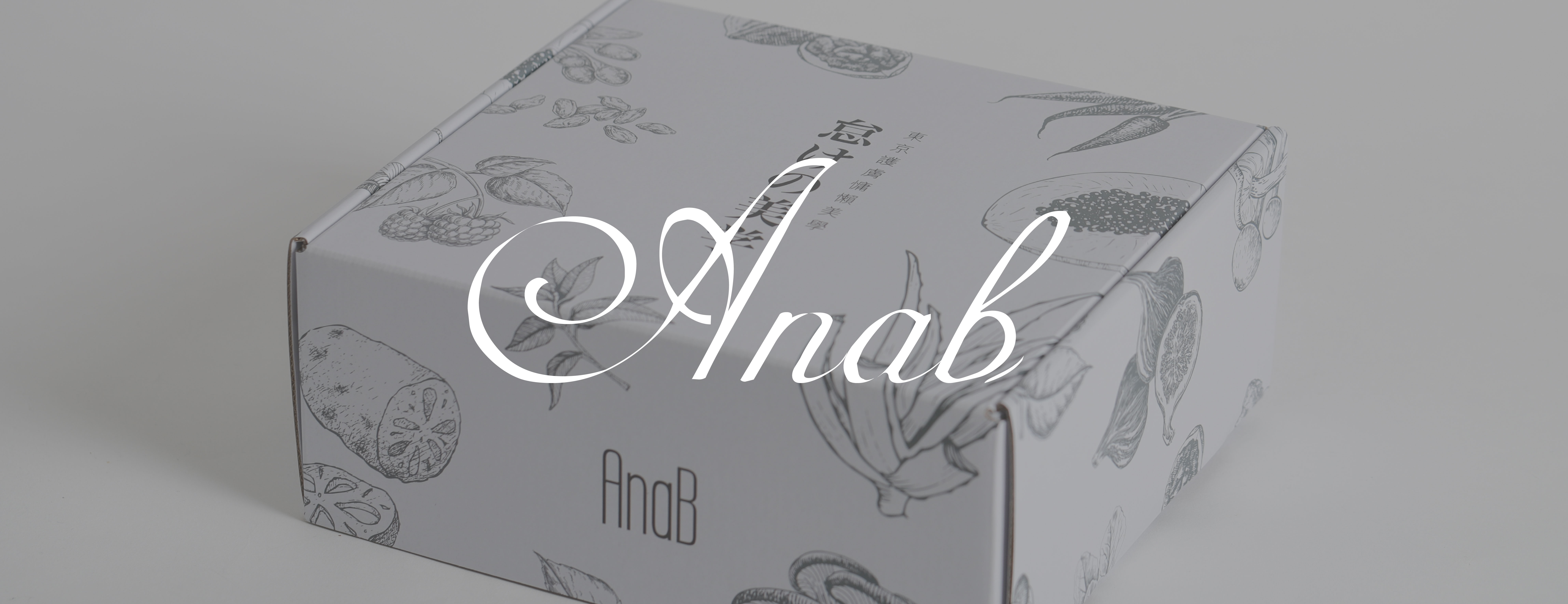 Full Color Mailer Box of AnaB
