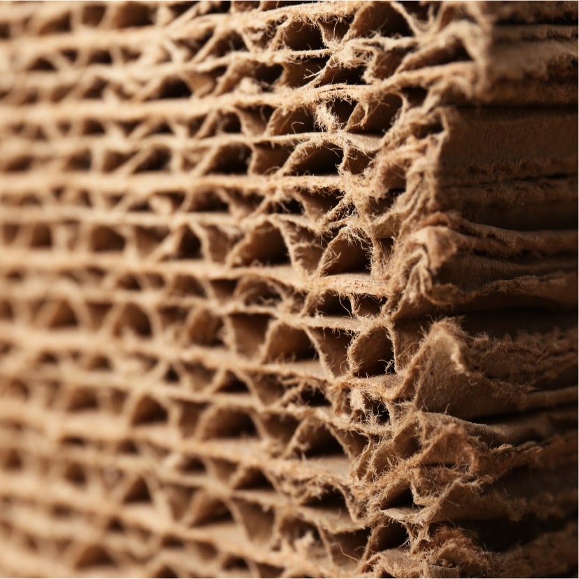 近鏡的瓦通紙，能細緻看到瓦通紙板的纖維。