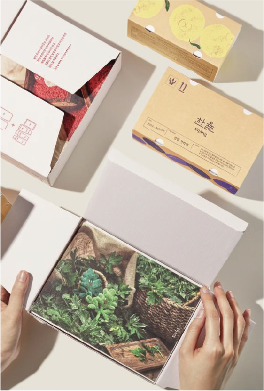在白色的背景下，放置了多個打開的郵寄盒，盒內擺放著樹葉和大自然相關的明信片。