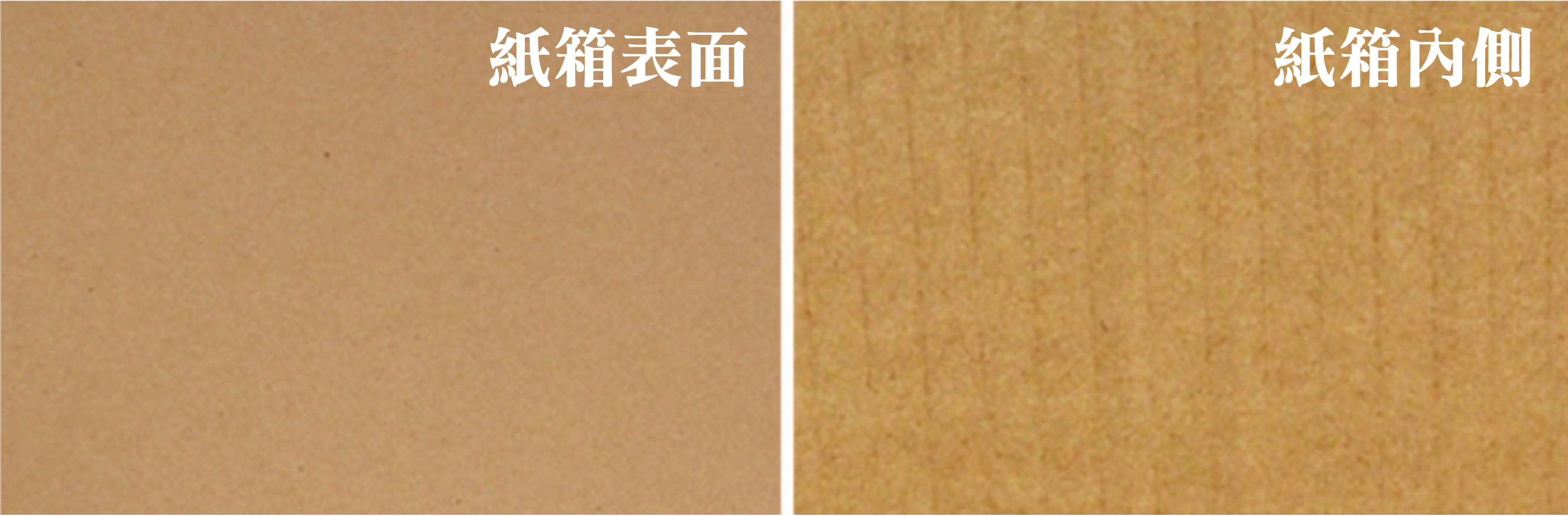 High-quality close-up of cardboard showing the fine surface texture of double-sided paper, commonly used in various carton materials, emphasising durability and clear paper texture.