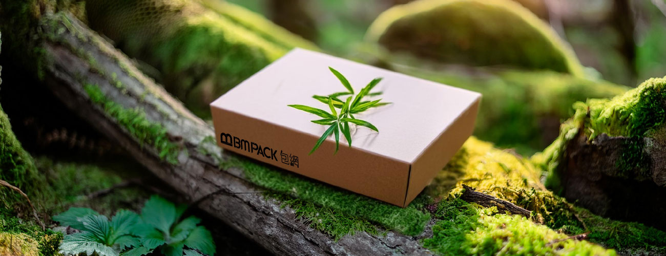 The Future Trends in Packaging Box Design: From Creativity to Sustainability, eco friendly packaging, flexible packaging, box packaging