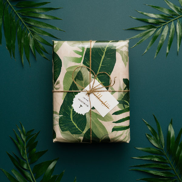 packaging, sustainable packaging, cosmetic packaging, paper packaging